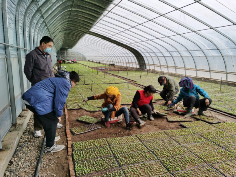 省工信厅驻张北县代家村工作队：聚焦“党建”引领 推进乡村振兴