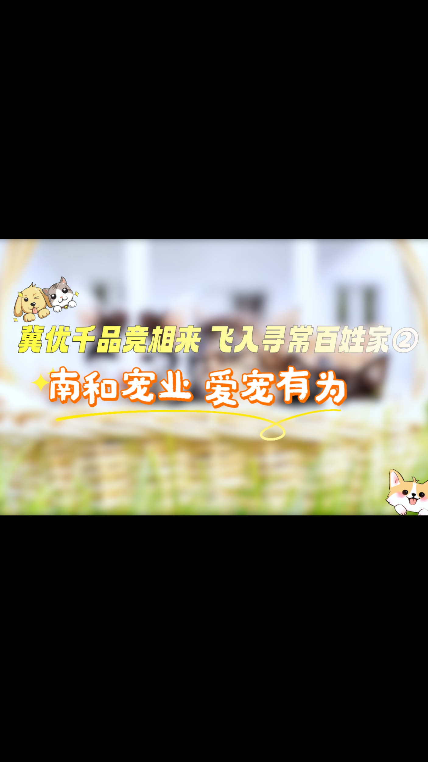 冀优千品竞相来 飞入寻常百姓家② | 南和宠业 爱宠有为
