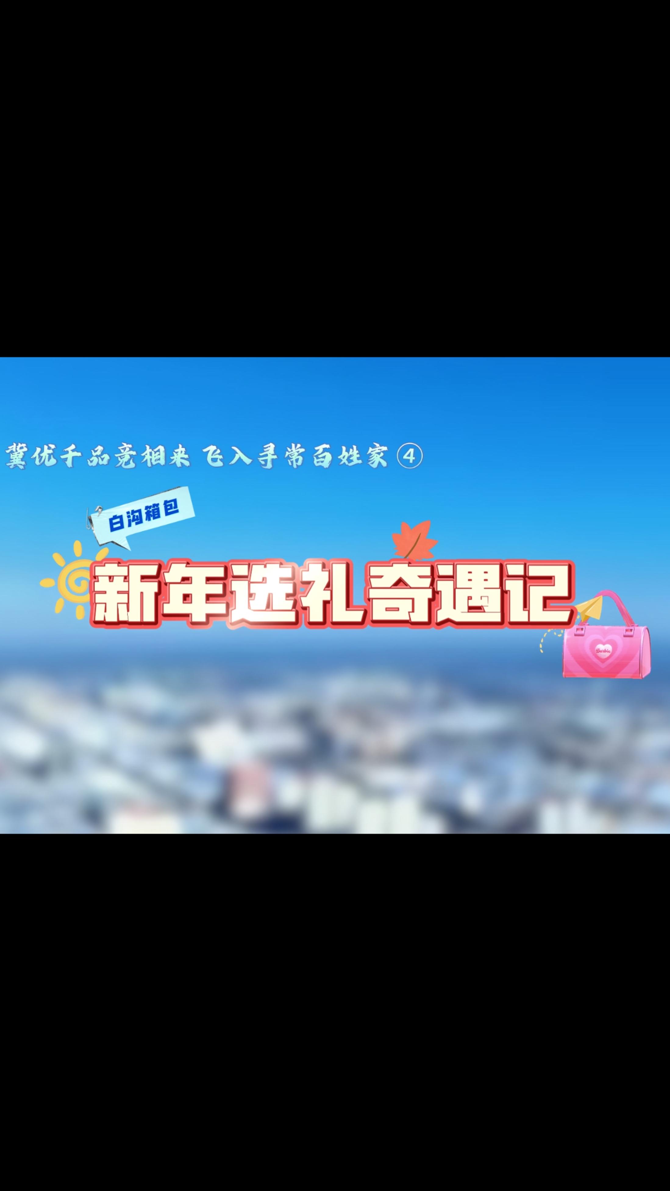 冀优千品竞相来 飞入寻常百姓家④ | 白沟箱包：新年选礼奇遇记