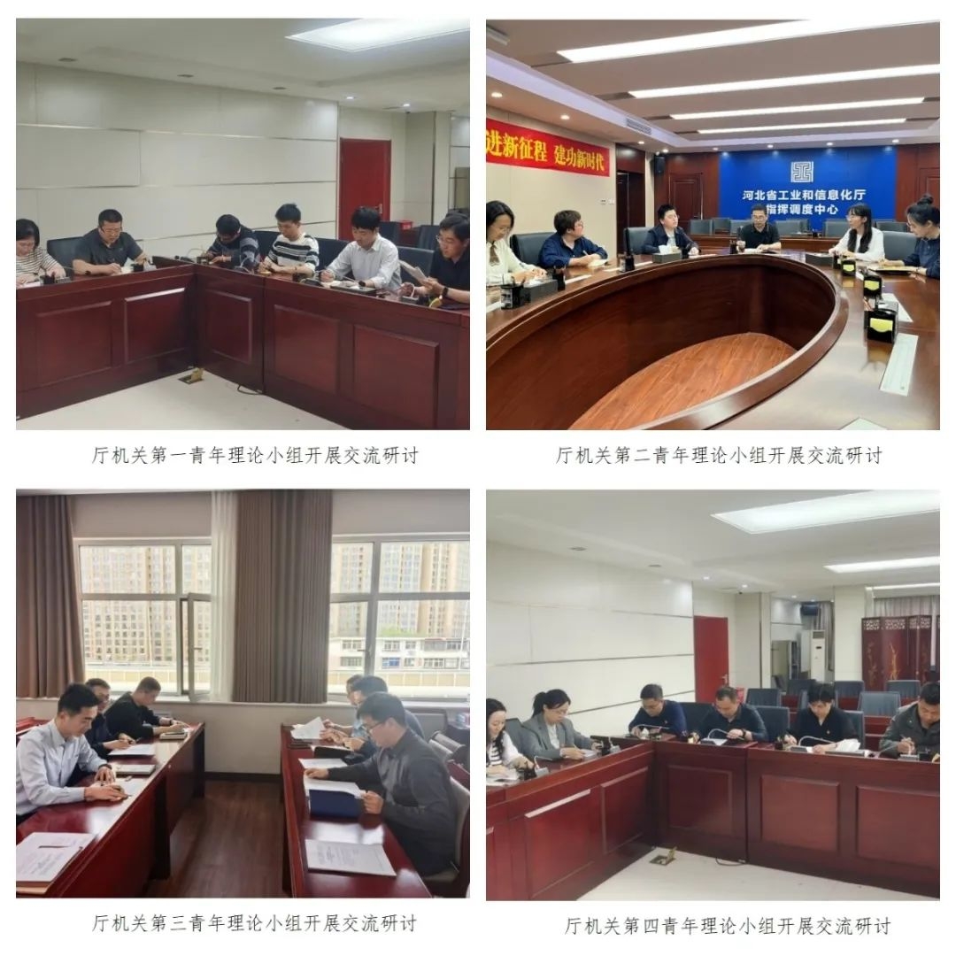 河北省工业和信息化厅发挥青年理论学习小组作用抓实抓好年轻干部学习教育