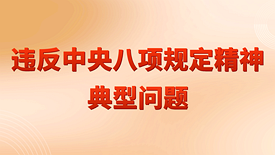 违反中央八项规定精神典型问题