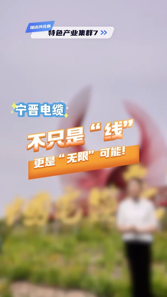 探访河北省特色产业集群⑦ | 宁晋线缆：不只是“线” 更是“无限”可能