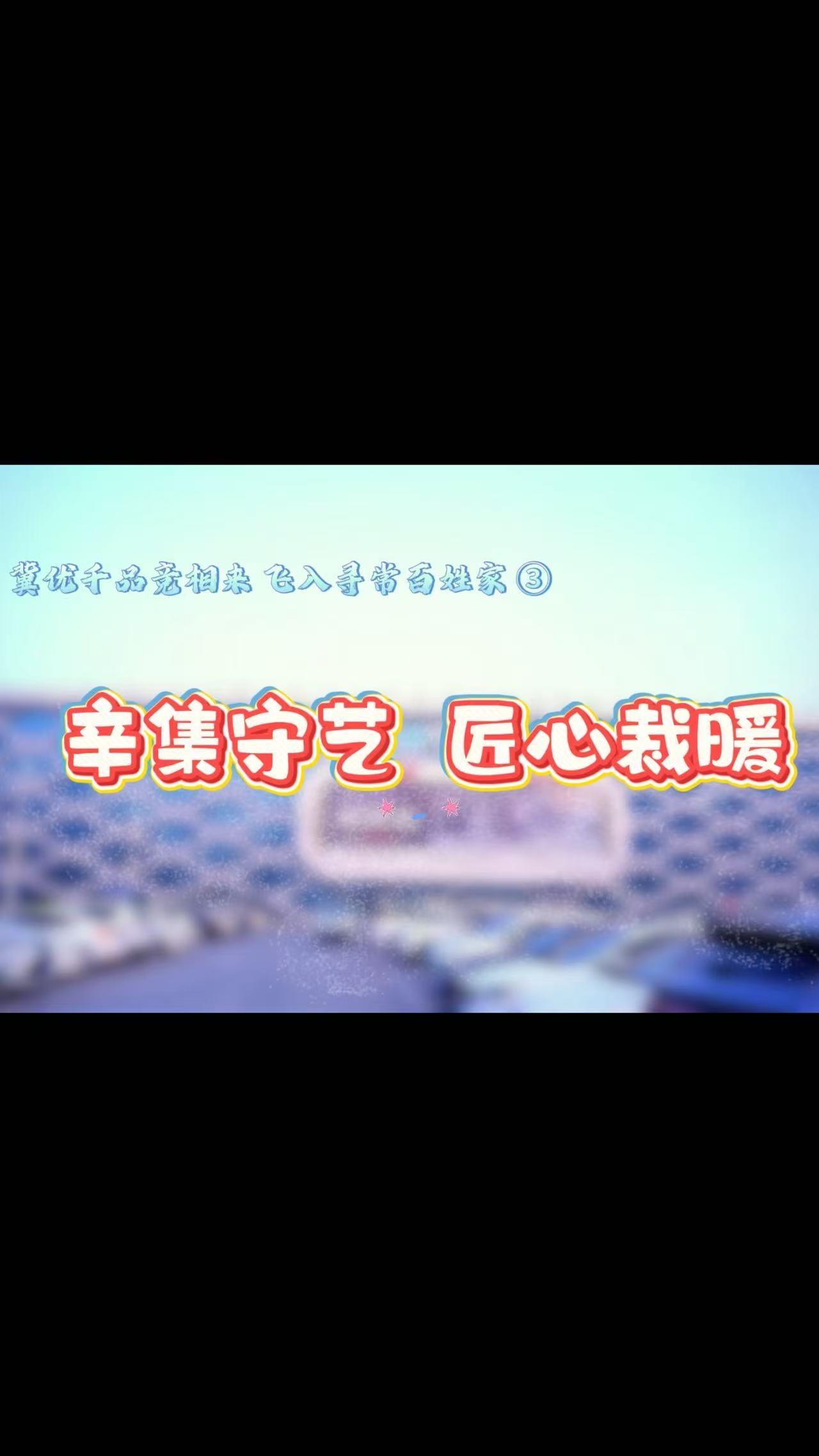 冀优千品竞相来 飞入寻常百姓家③ | 辛集守艺 匠心裁暖